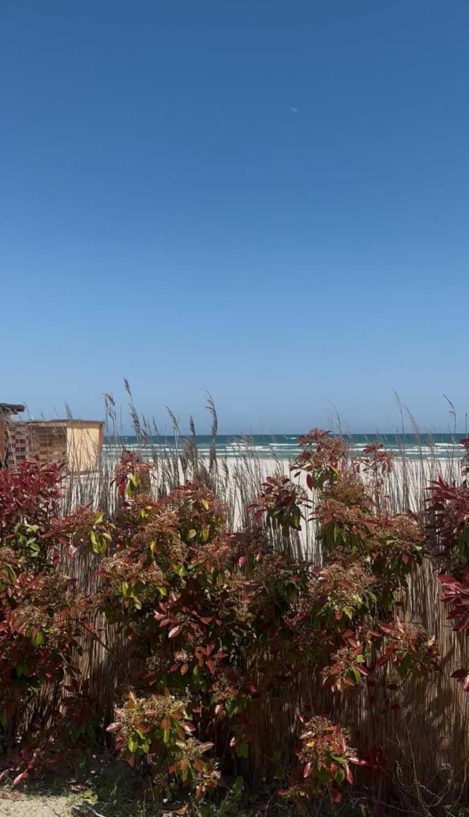 Sea View Luxury Apartament Năvodari المظهر الخارجي الصورة