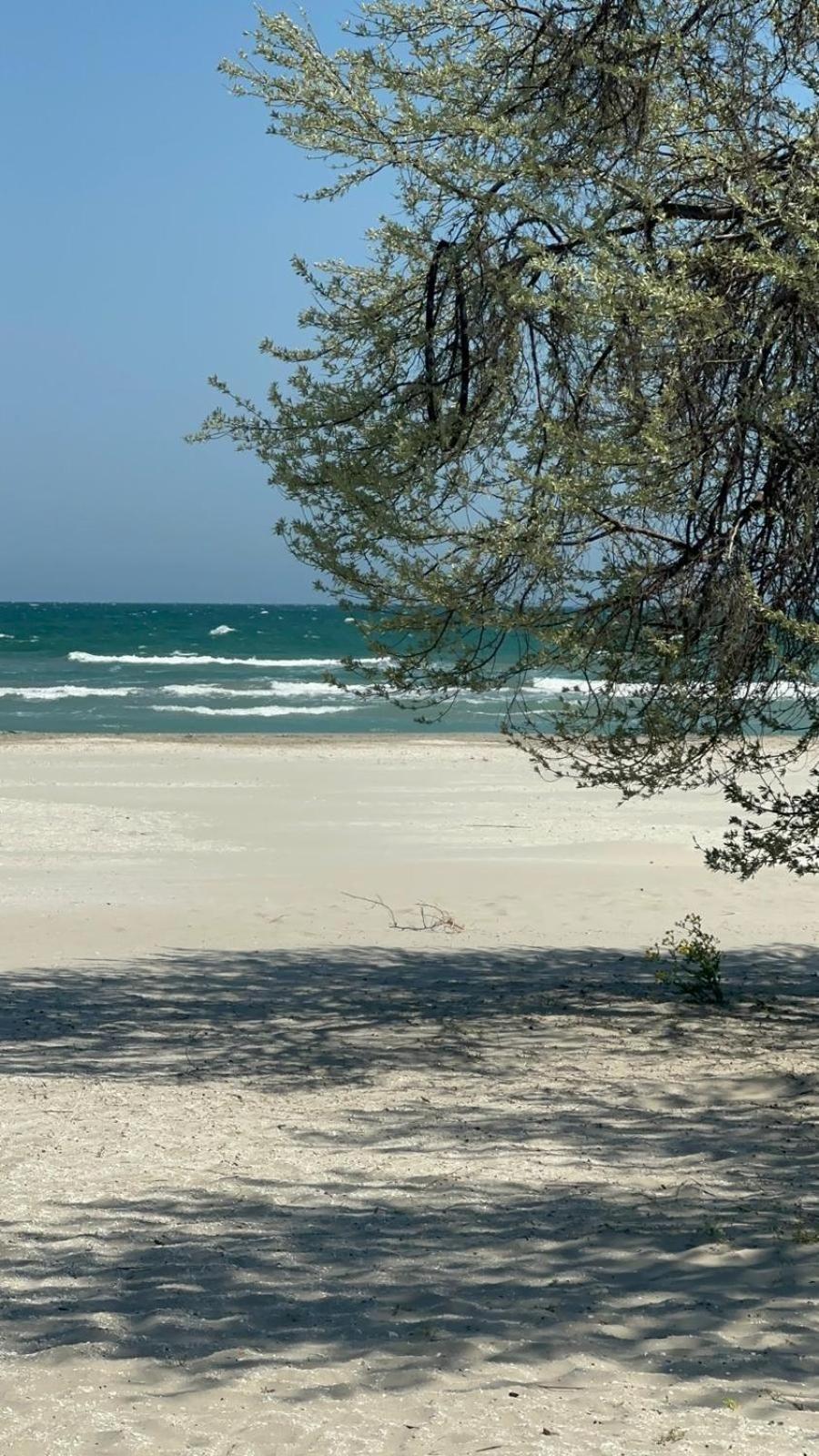 Sea View Luxury Apartament Năvodari المظهر الخارجي الصورة
